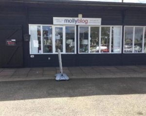 MOLLY BLOG