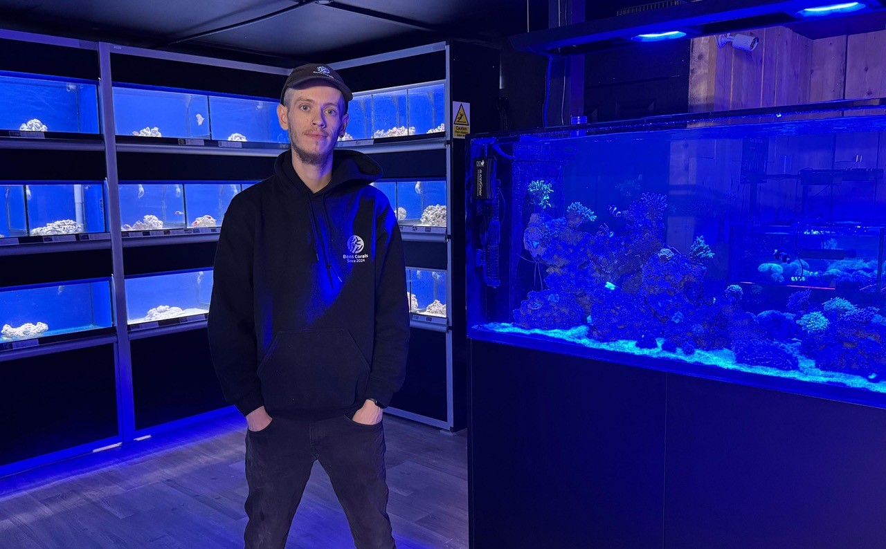 bens corals 06.11.25 2