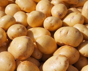 potato-day-2020