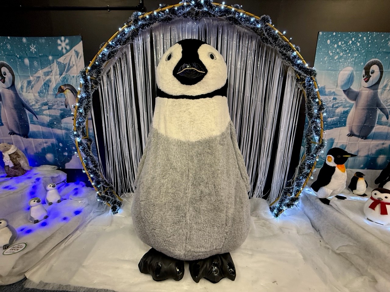 santas grotto 06.11.25 1